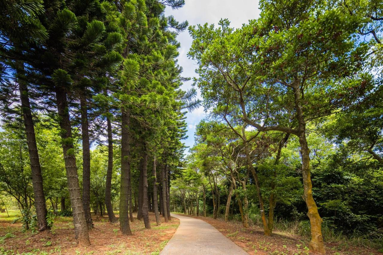 South Garden Hotels And Resorts Taoyuan Dış mekan fotoğraf